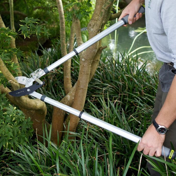 Burgon & Ball  Telescopic Ratchet Lopper - RHS Endorsed
